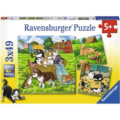 Spiel 3108.0